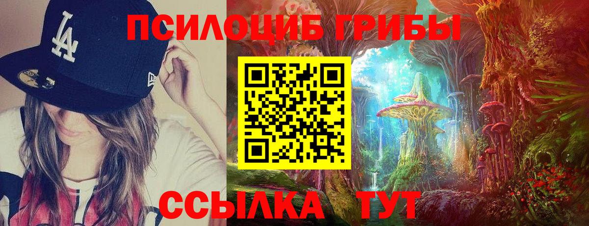 Галлюциногенные грибы ЛСД  наркошоп  Сердобск  Вход с VPN 